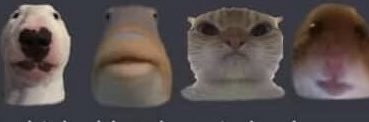 brigcmill's profile banner image