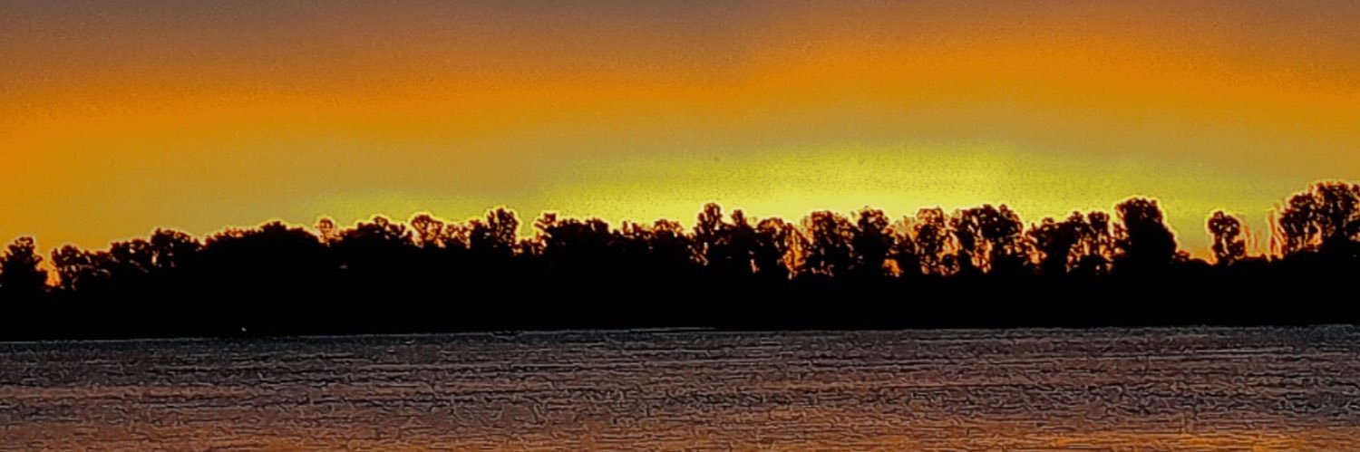 nuarferis's profile banner image