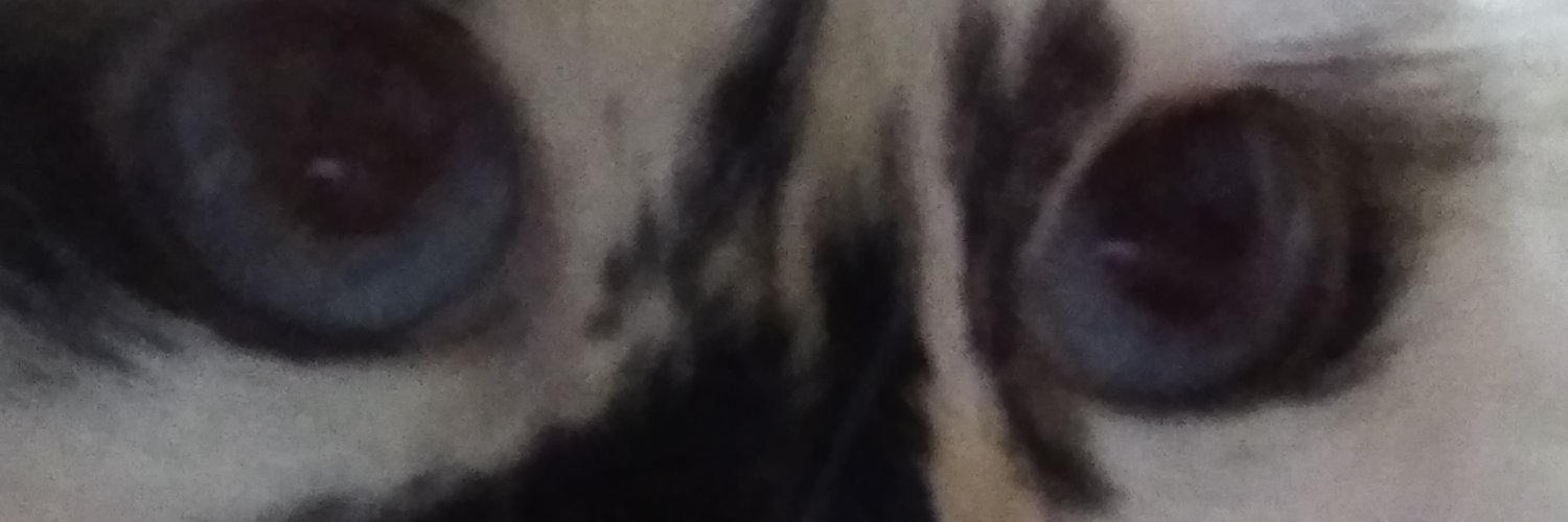 florabraga's profile banner image
