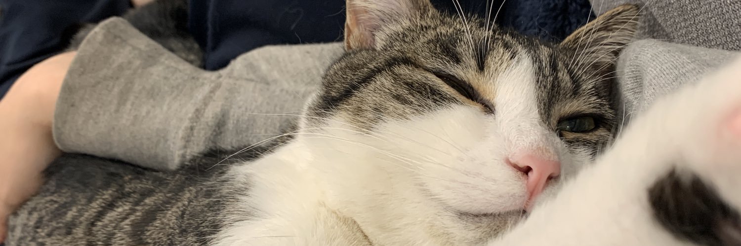 markelleleigh's profile banner image