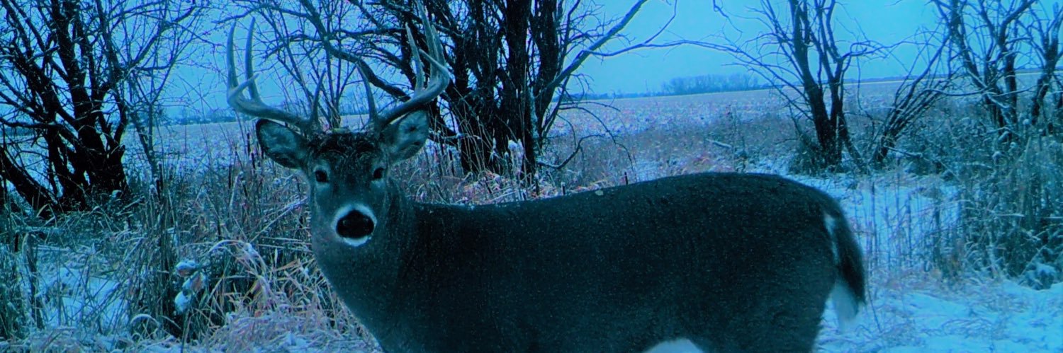 baseballbacker's profile banner image