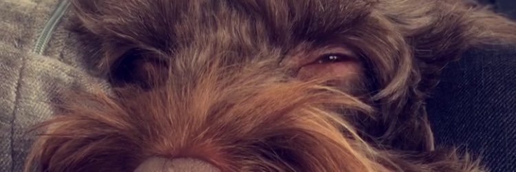 hannahmurray0's profile banner image