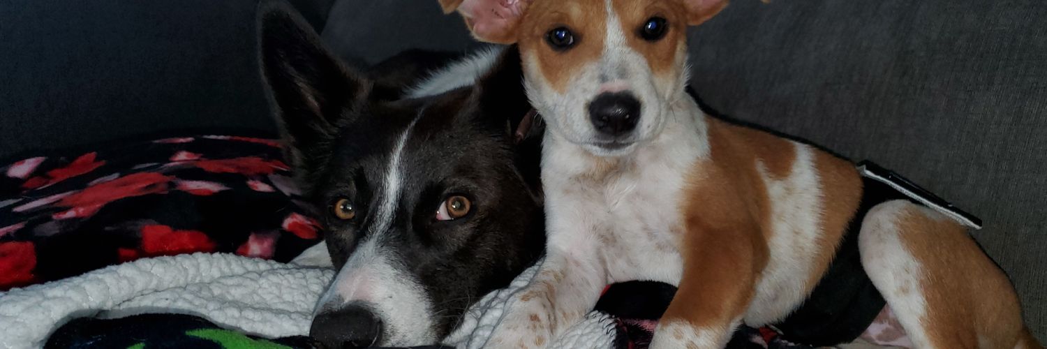 EmilyLittle9's profile banner image
