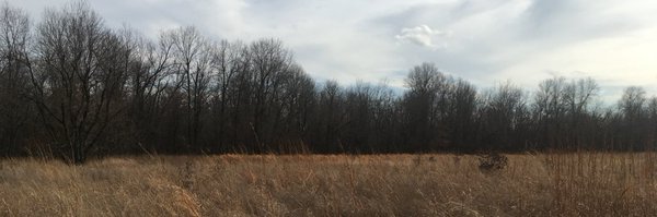 Jaderrader Profile Banner