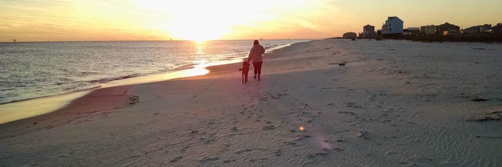 JaySchlinsog's profile banner image