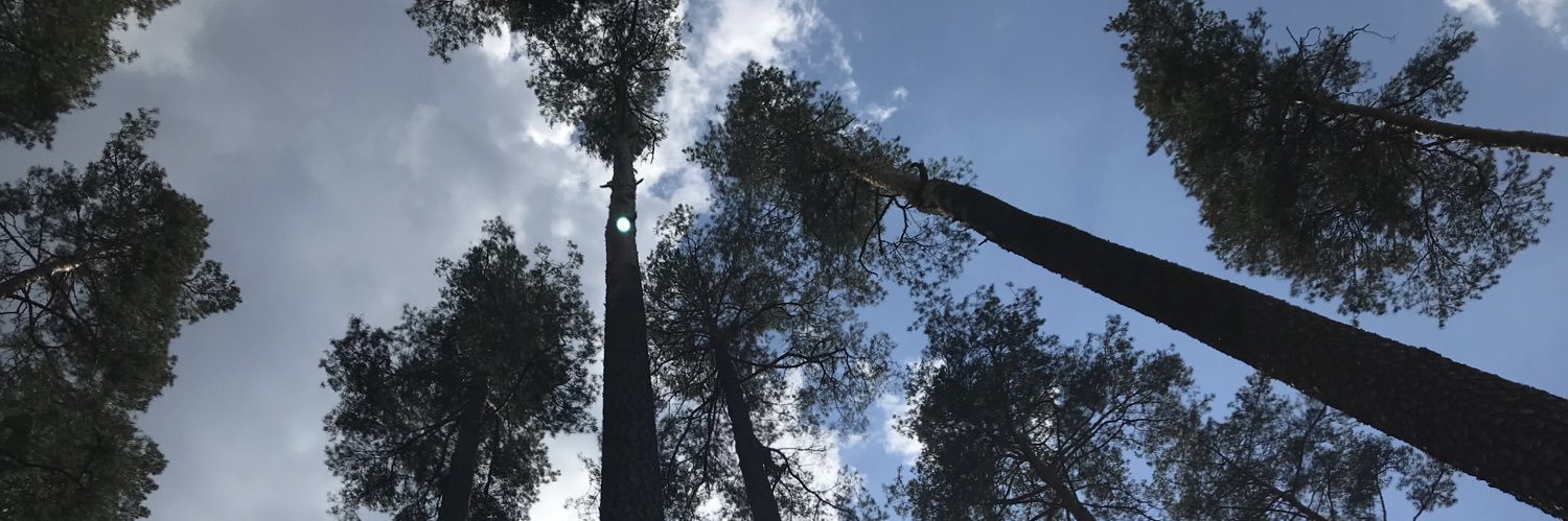 Mick Wej banner