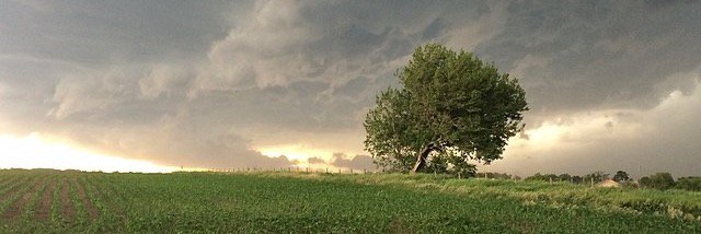 steveneallen's profile banner image