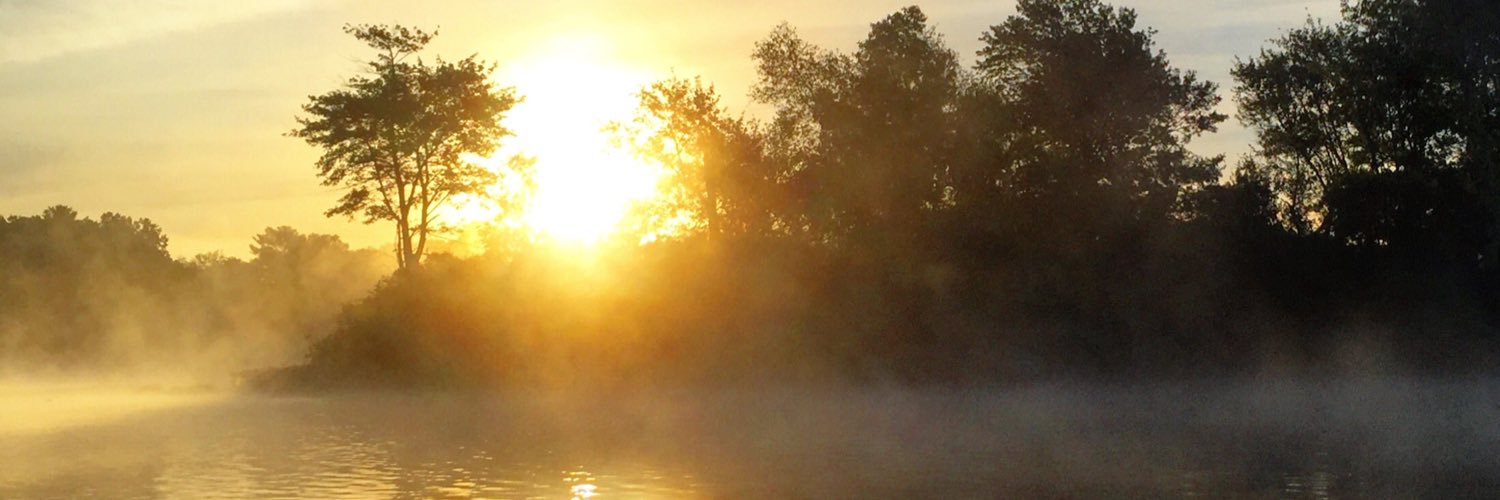 shnux's profile banner image