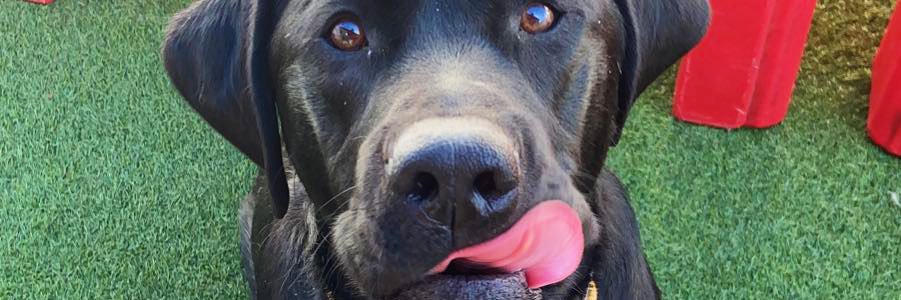 haleytyler_'s profile banner image