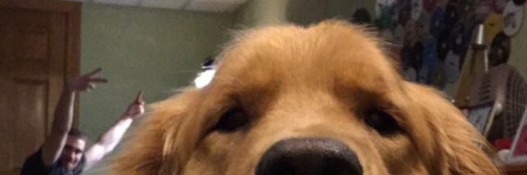 mixtapekev's profile banner image