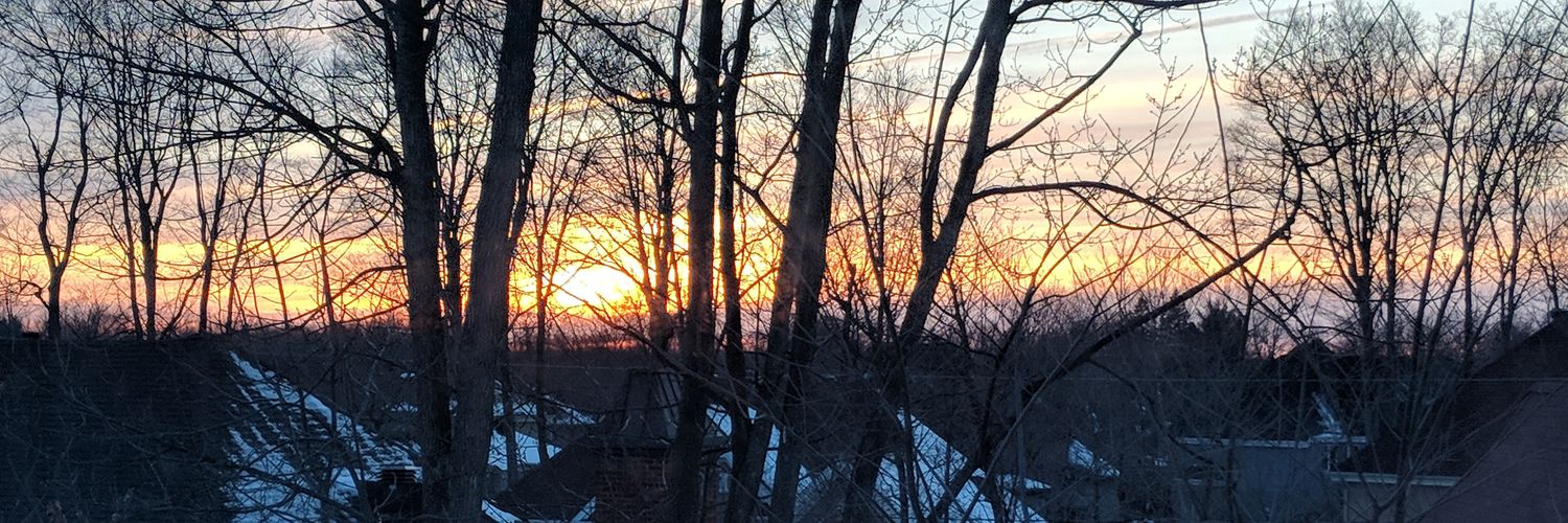 Moth Queen 🏳️‍⚧️ banner