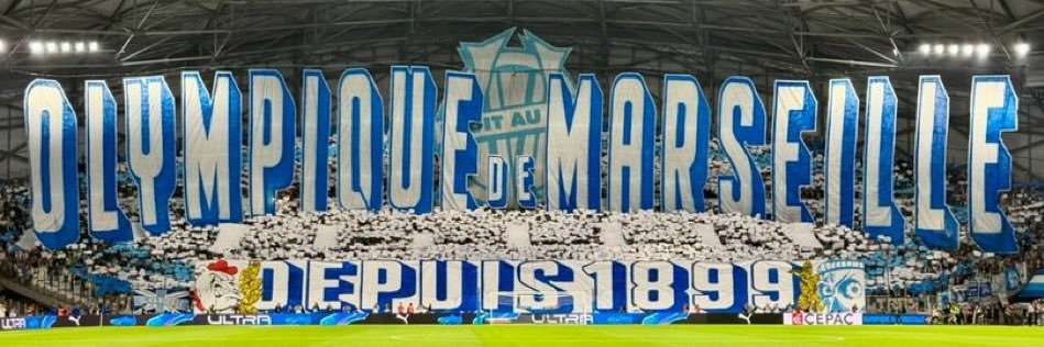 Bibz banner