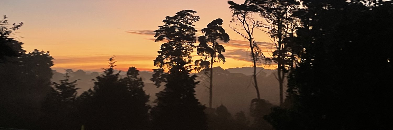 canche_morales's profile banner image