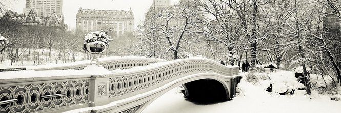 amldavis's profile banner image