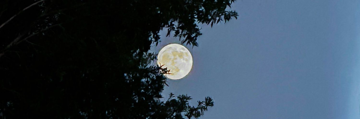 urfavLoma's profile banner image