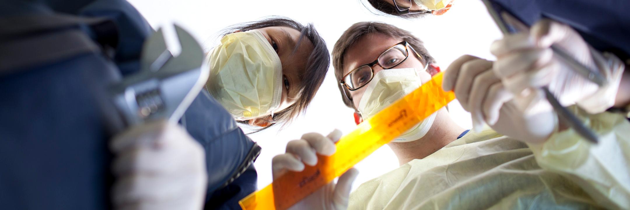 The Taylor Collaboration banner