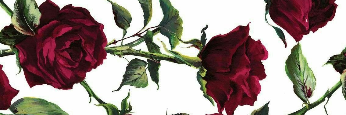 JadeBeunot's profile banner image