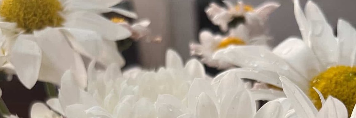 carliricca's profile banner image