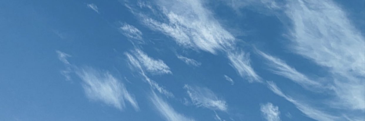 mercsheesh's profile banner image