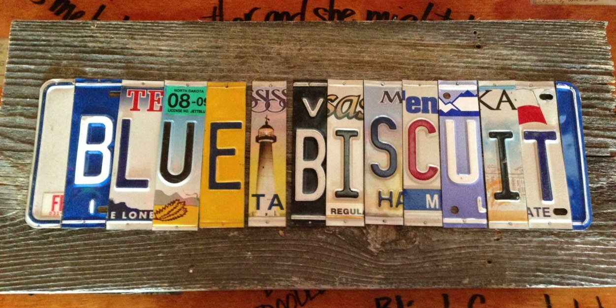 BlueBiscuit1's profile banner image