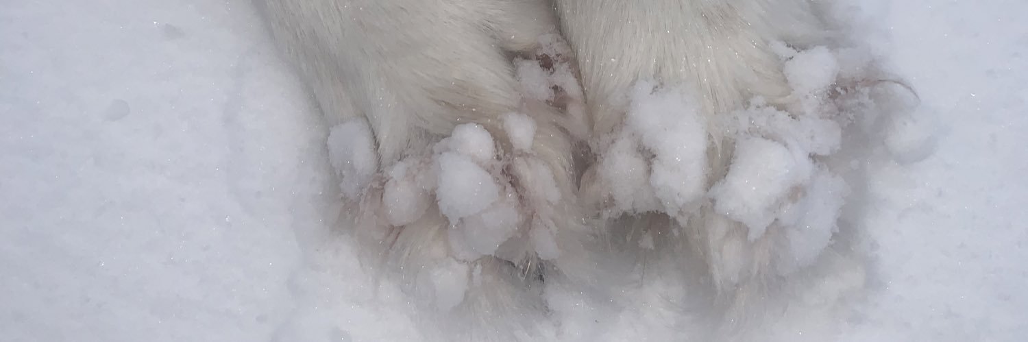 bbtoutoune's profile banner image