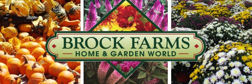 BrockFarms's profile banner image