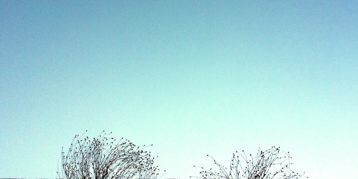 denissimcic's profile banner image