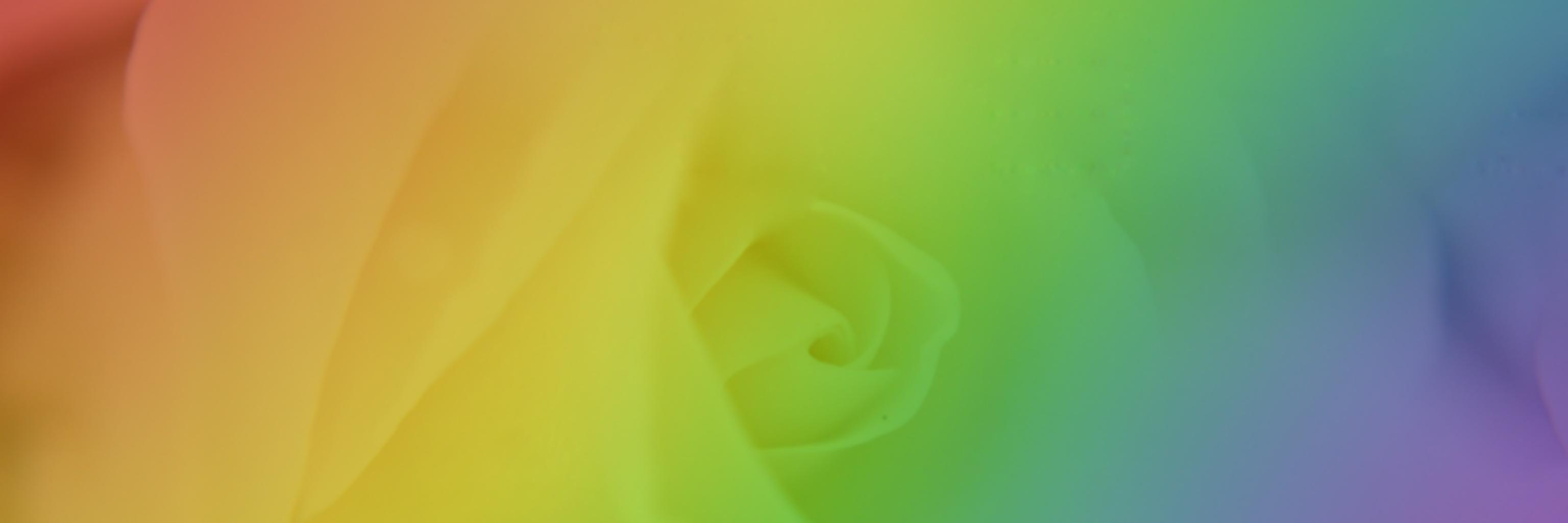 musicmeri's profile banner image