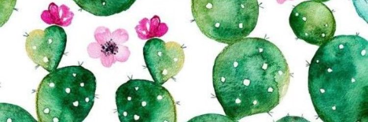 Kswimmer96's profile banner image
