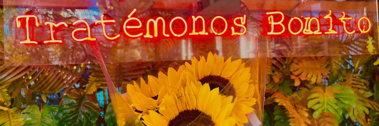 leonluisa07's profile banner image