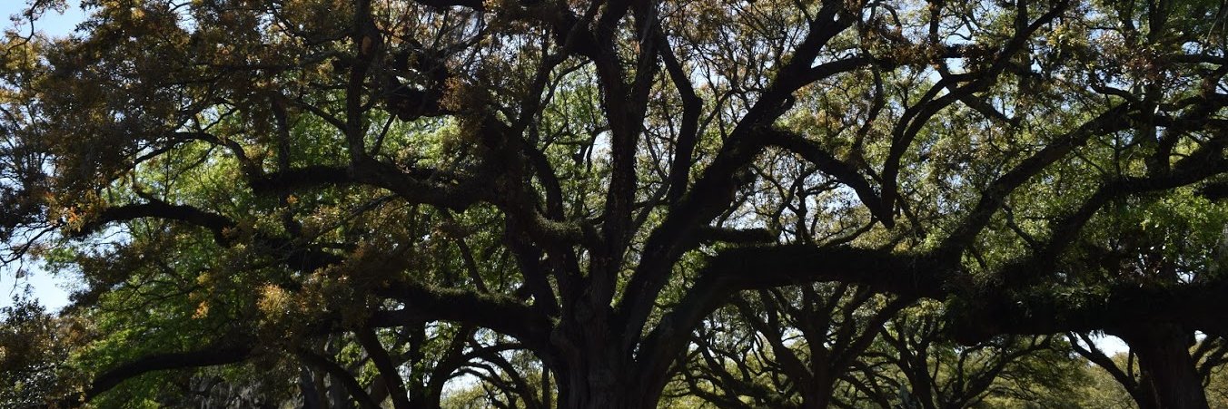 ajtwarren's profile banner image