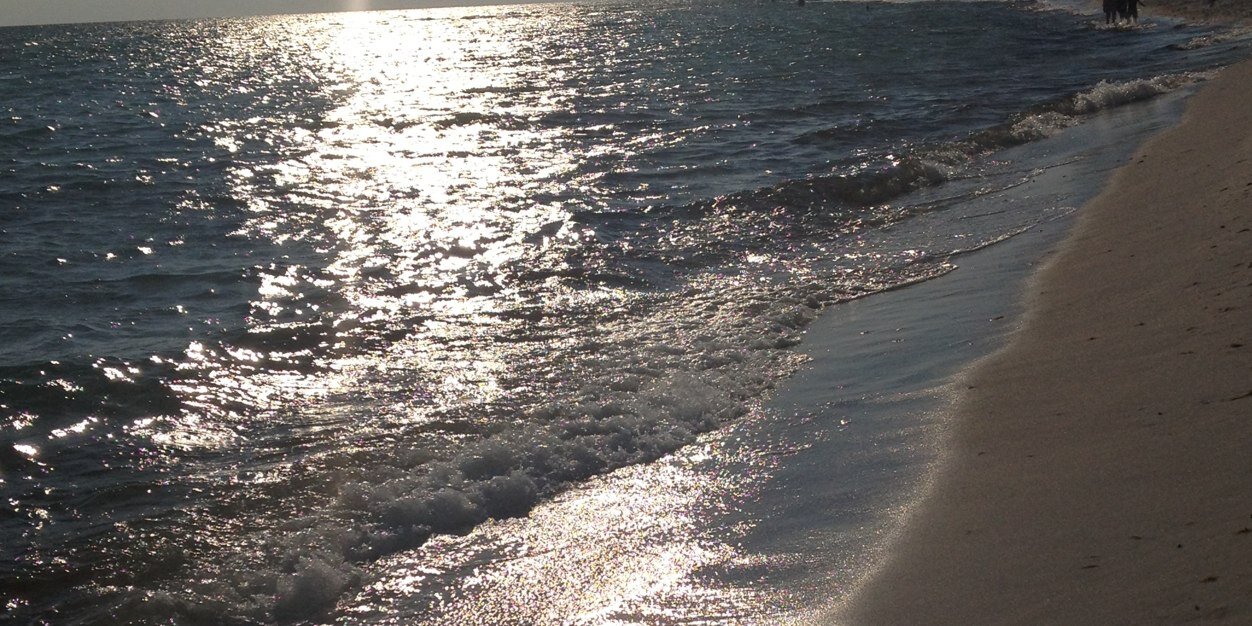 nat_mull's profile banner image