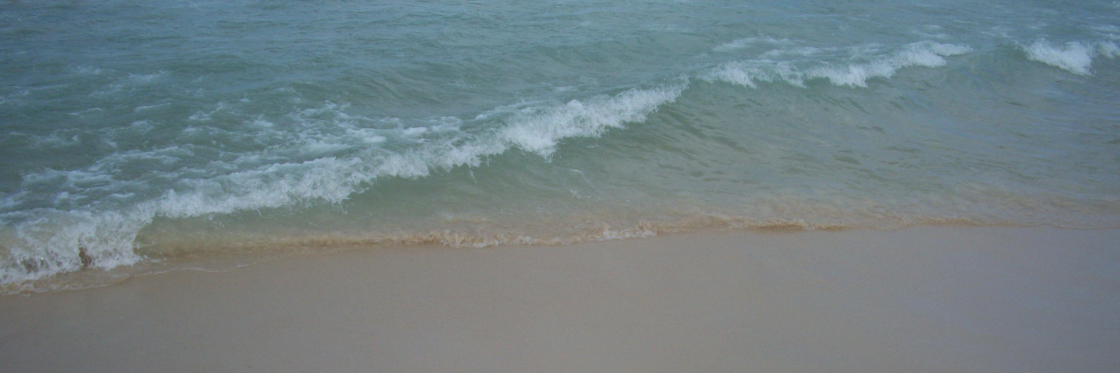 pao_292's profile banner image