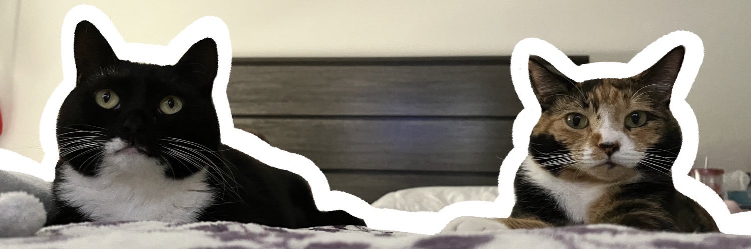 yunniemon's profile banner image