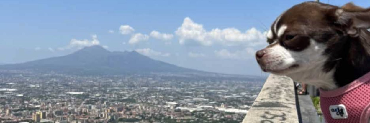 TEMPESTA112's profile banner image