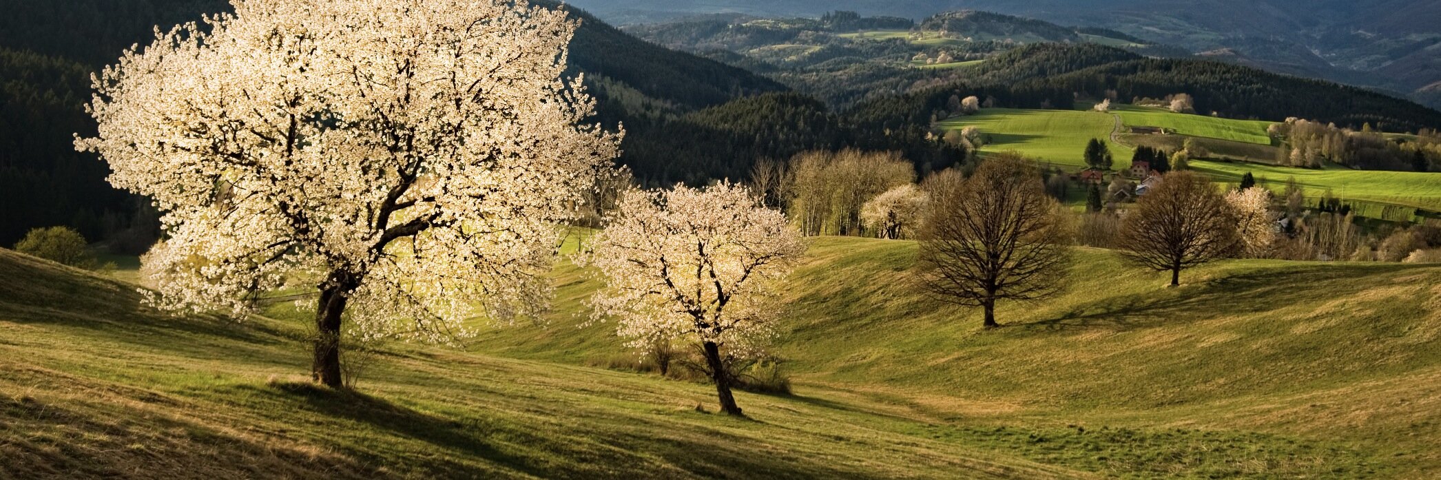 tekelphoto's profile banner image