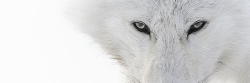 N37V91's profile banner image