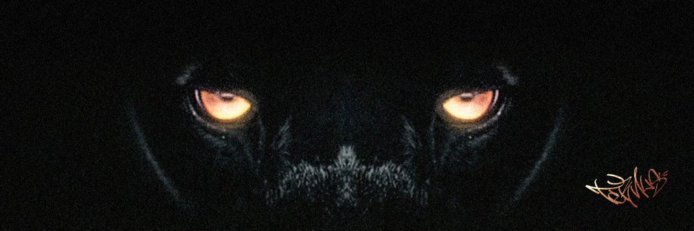 nathanternus's profile banner image