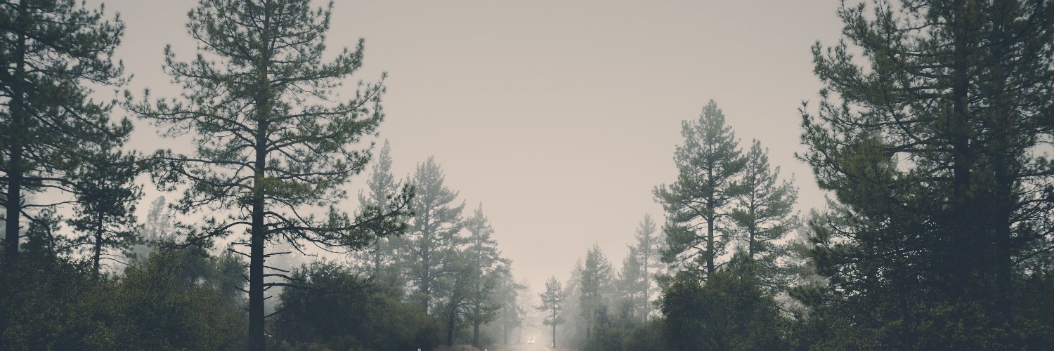 rattherine's profile banner image