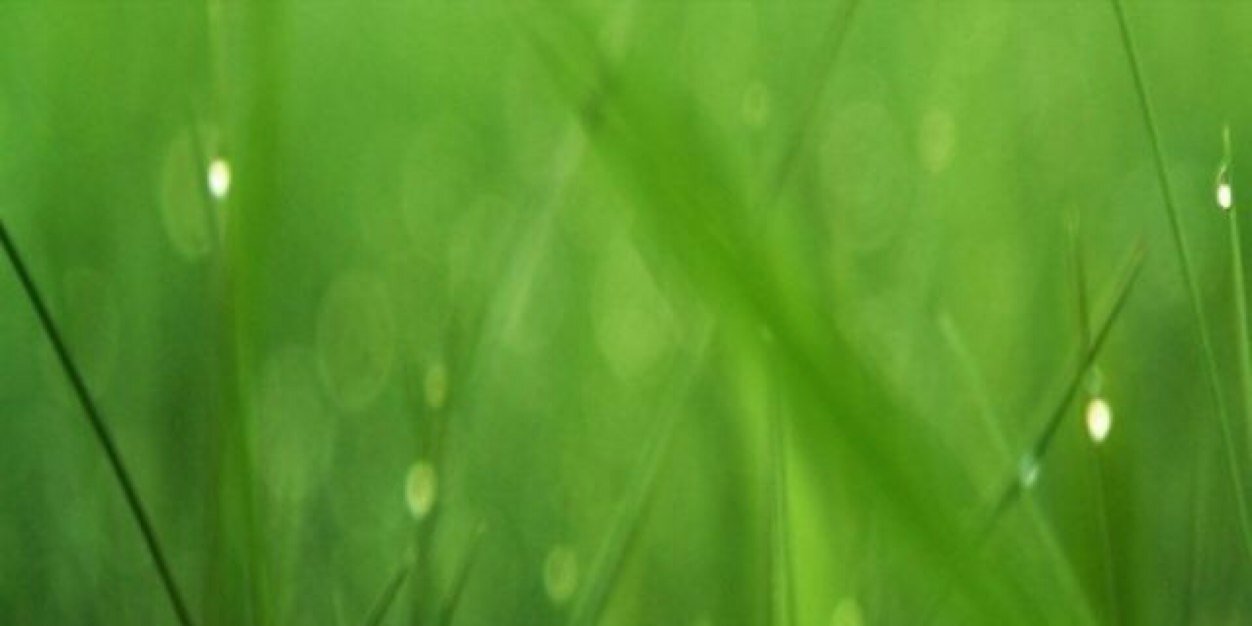 Norbybert's profile banner image
