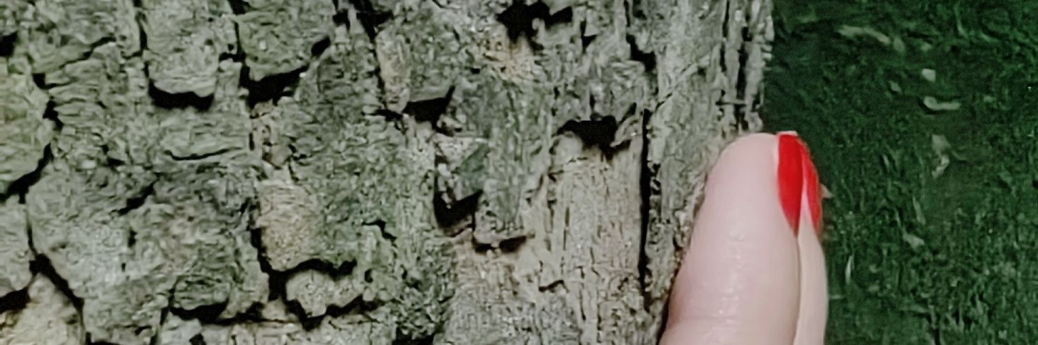 TlaySari's profile banner image