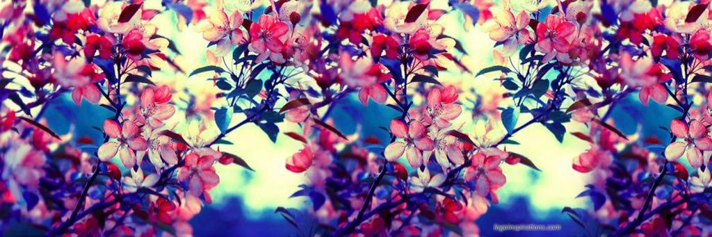 JuSterDuSter's profile banner image