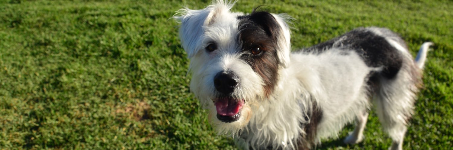 Kristy Hamilton banner