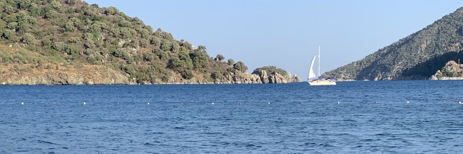 Müzeyyen Nazlı Güngör banner