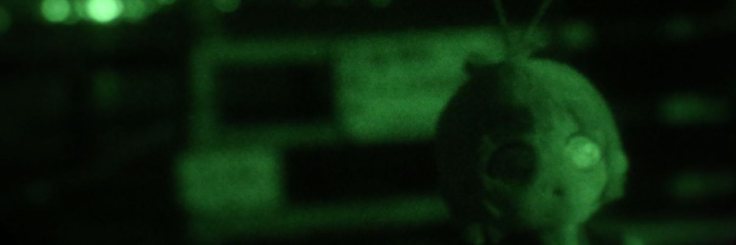 akemi_touri's profile banner image