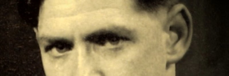 SzpilmansbigcanofGherkins banner