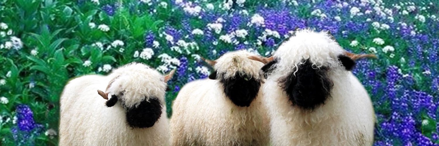 yex_ie's profile banner image