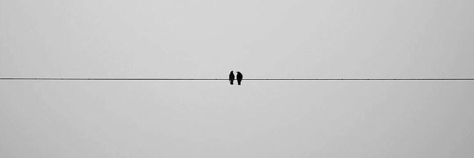 suseq97's profile banner image