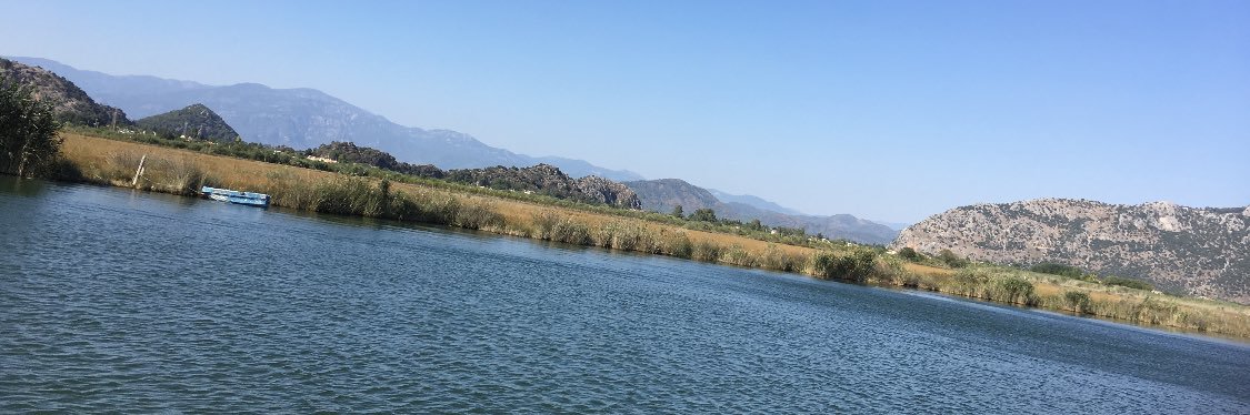 Tracy Fitzsimmons 💙 banner