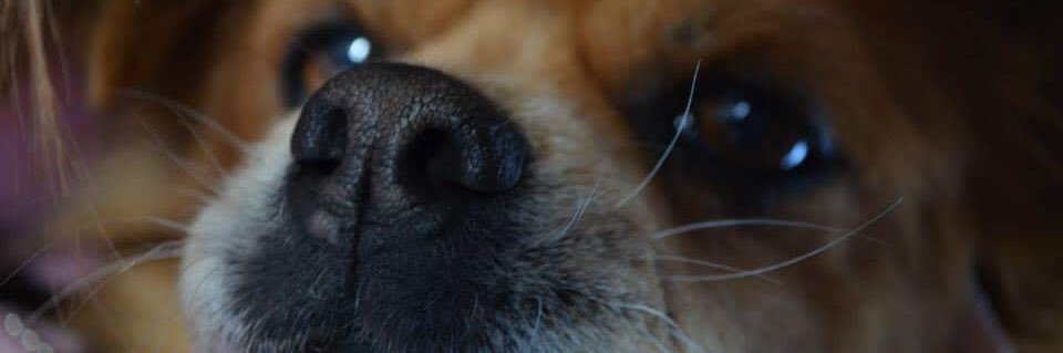 Laracesaretti41's profile banner image